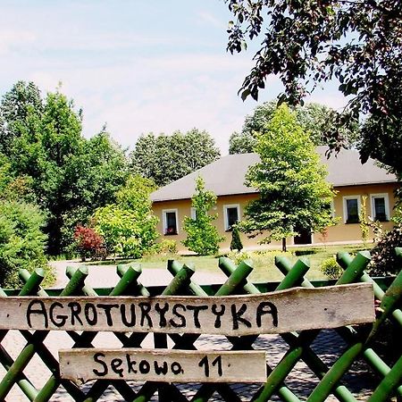 Agroturystyka Pod Modrzewiami Nowy Tomyśl Esterno foto