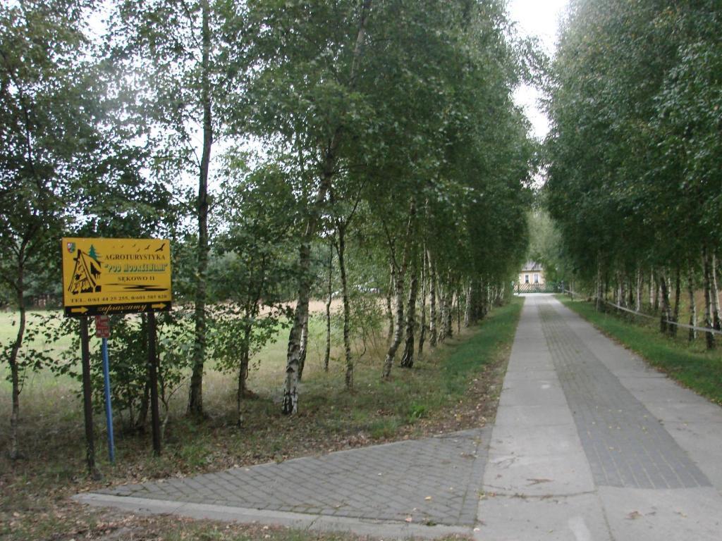 Agroturystyka Pod Modrzewiami Nowy Tomyśl Esterno foto