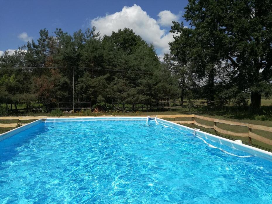 Agroturystyka Pod Modrzewiami Nowy Tomyśl Esterno foto