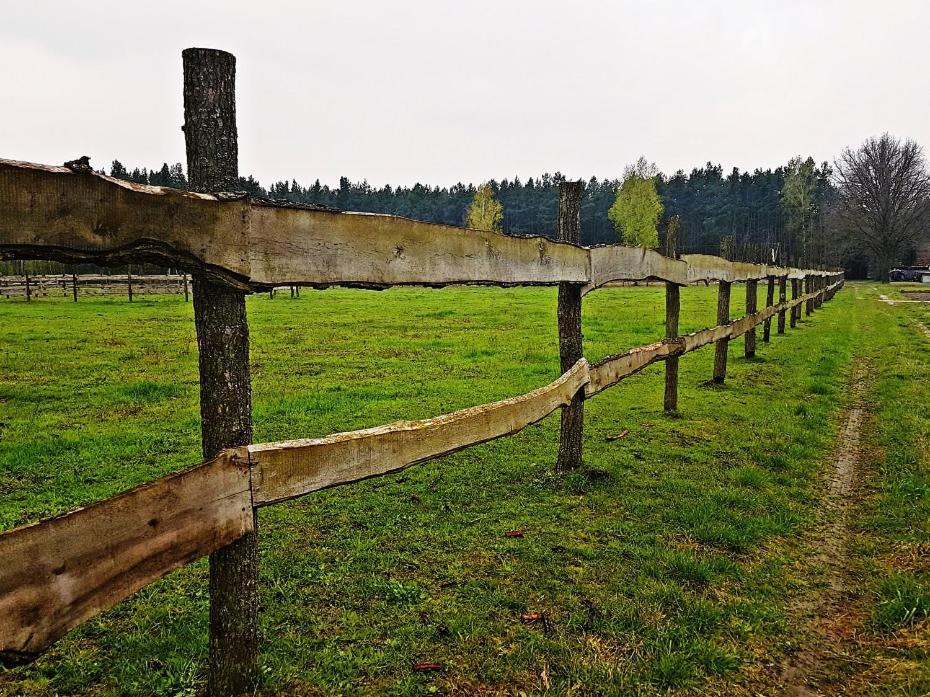 Agroturystyka Pod Modrzewiami Nowy Tomyśl Esterno foto