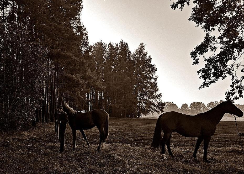 Agroturystyka Pod Modrzewiami Nowy Tomyśl Esterno foto
