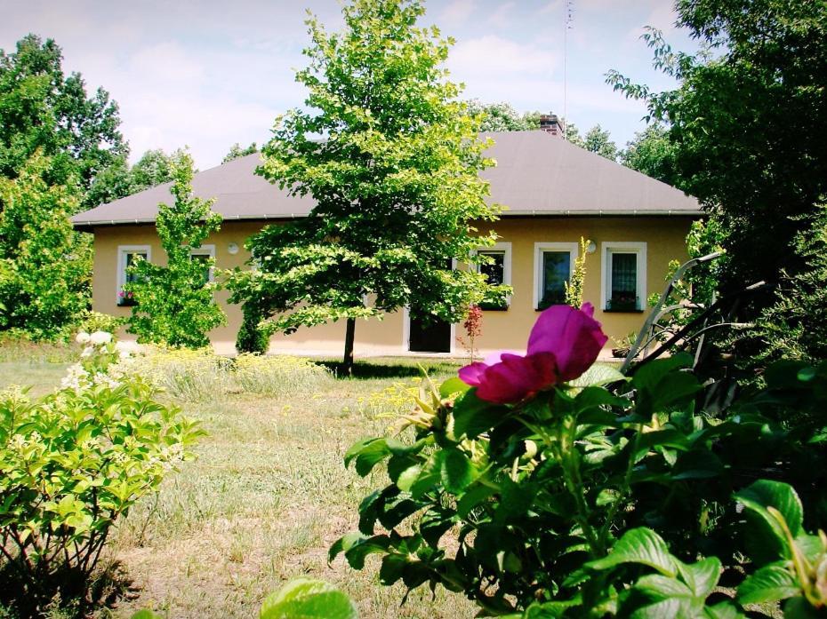 Agroturystyka Pod Modrzewiami Nowy Tomyśl Esterno foto