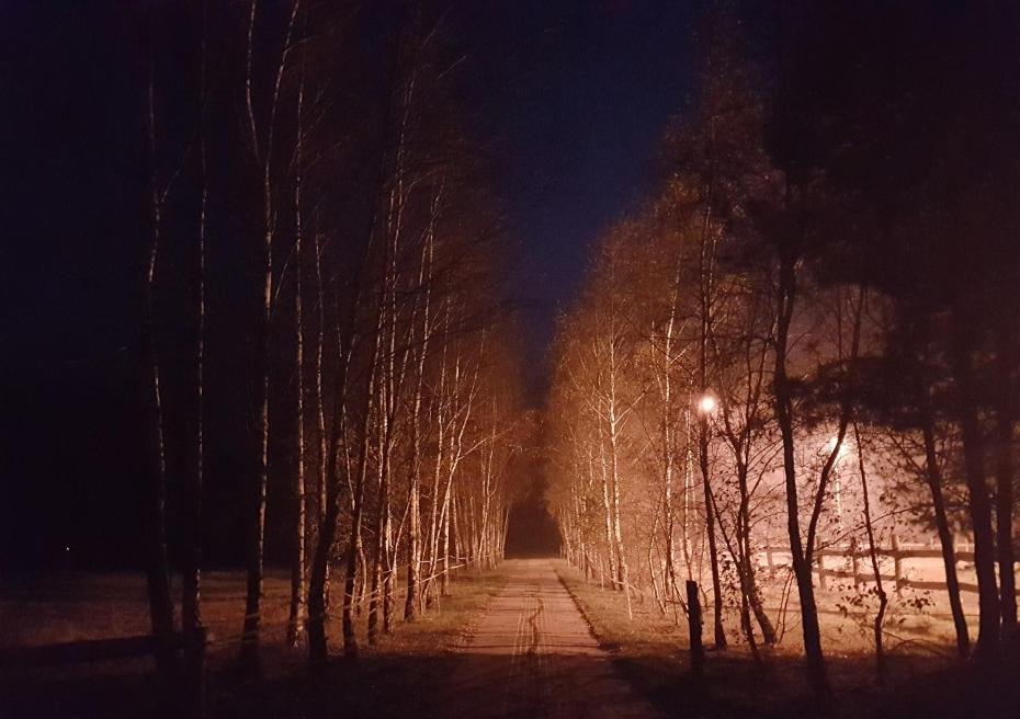 Agroturystyka Pod Modrzewiami Nowy Tomyśl Esterno foto